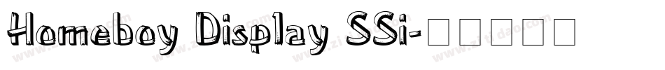 Homeboy Display SSi字体转换